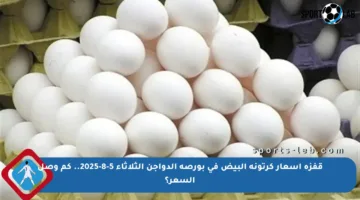 قفزة أسعار كرتونة البيض في بورصة الدواجن الثلاثاء 5-8-2025.. كم وصل السعر؟